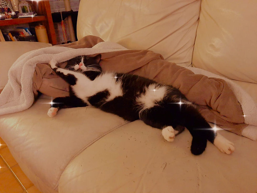 270305066_10159603436553637_4917931760545865308_n