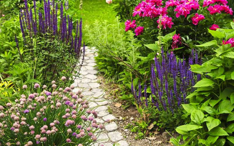 Bienenfreundlicher Garten