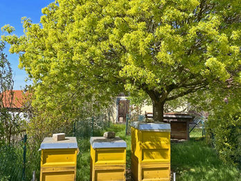 Bienenstöcke in Sitzambuch bei Schneittenbach