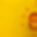 Header_Honig-bestellen.jpg