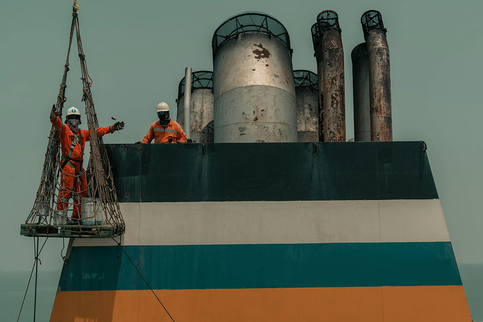 BWE completes an Exhaust Gas Cleaning project