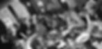 _DSC1238.jpeg