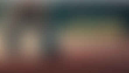 Vicente Gambau participará en la Jornada divulgativa sobre la nueva Ley del Deporte del COPLEFC