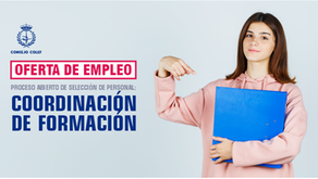 Proceso de selección de personal en el Consejo COLEF. Puesto vacante: coordinación de formación