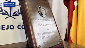 COLEF: una Organización Colegial, 18 corporaciones de derecho público