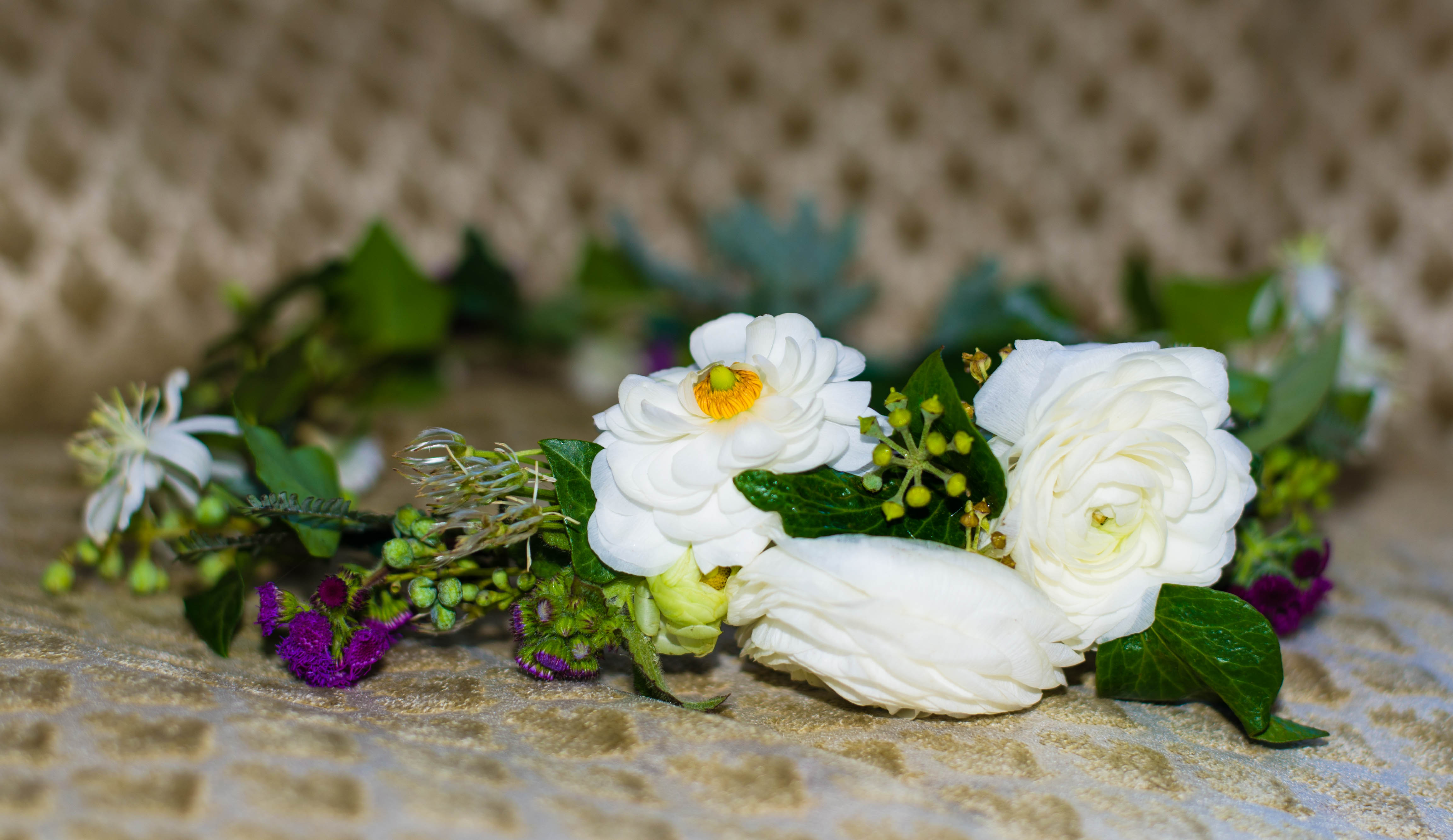 AnicaBanica Photography