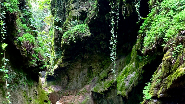 Rio-Barbaira-canyoning-liguria.jpg