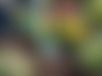 DIY Landscaping Tips and Tricks for Homeowners