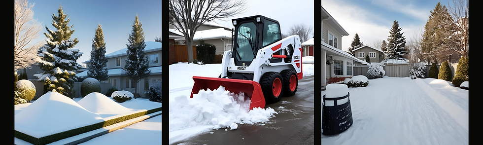 Snow Removal banner smaller size.png