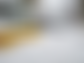 Expert Landscaping and Snow Removal Solutions