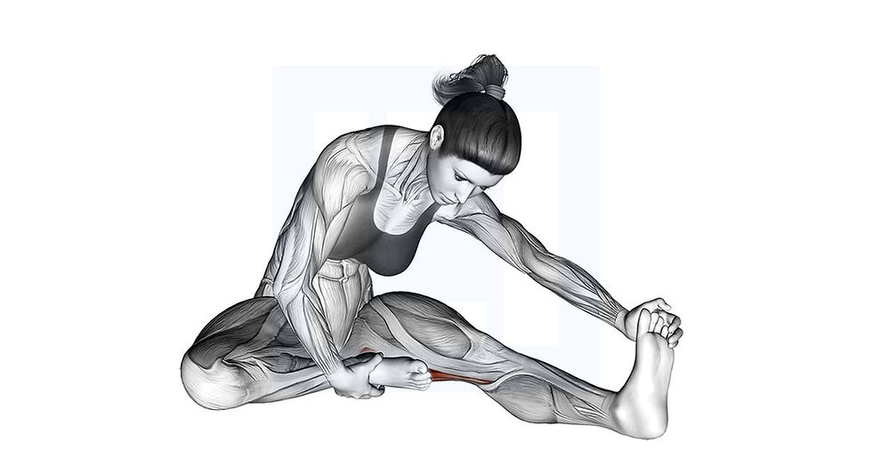 seated hamstring stretch