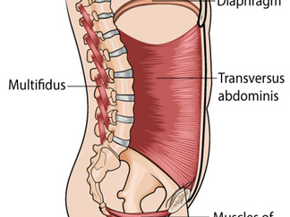 THE CORE- PELVIS CONNECTION : BIOMECHANICAL INSIGHTS EVERY FOOTBALLER SHOULD KNOW ABOUT GROIN PAIN