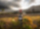Groot Constantia Winery photo (16).jpg