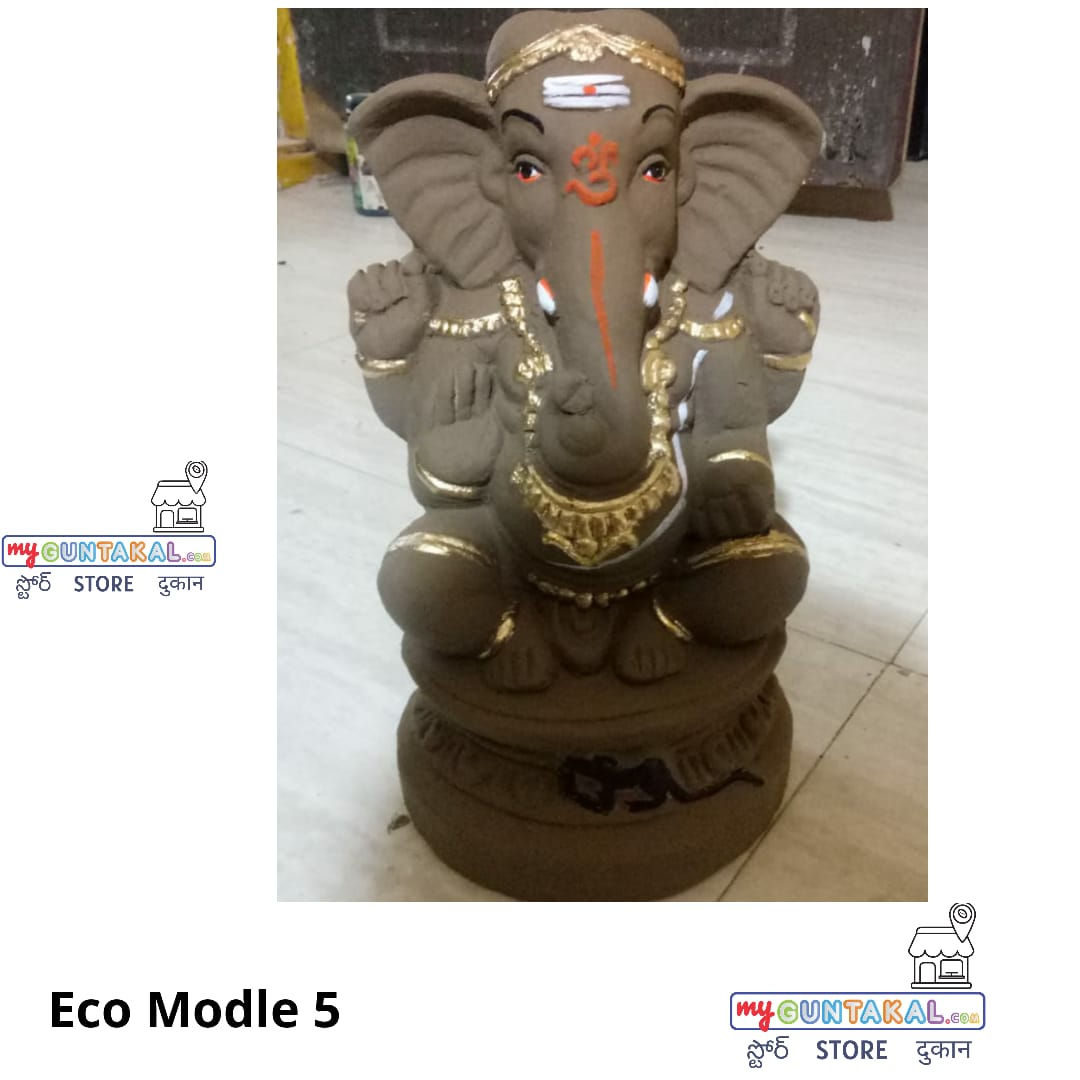Eco Friendly Ganesh M5