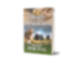 Death of a Cuckoo (pbk cover) 3D.png