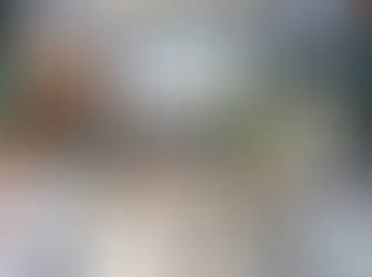 Briathar Saor Explained: Key Rules and Examples for Leaving Cert Irish