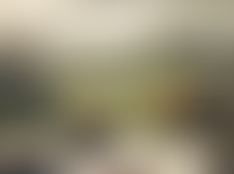 A Constable Calls by Seamus Heaney: Themes and Analysis for Leaving Cert