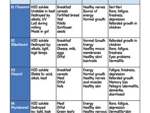 Leaving Certificate Home Economics Notes: Protein Food