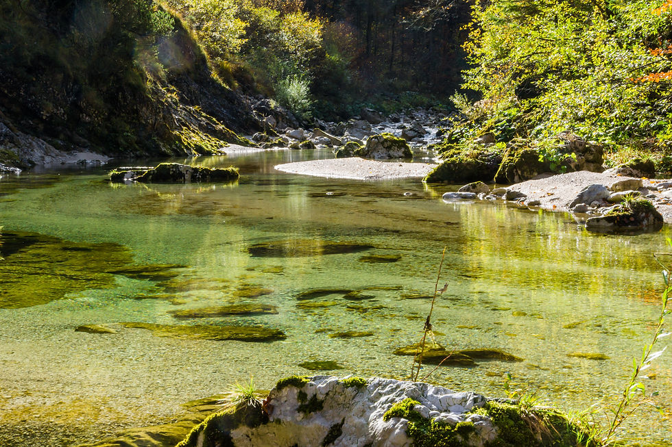 Gewässer im Klimawandel – Herausforderungen und Lösungen