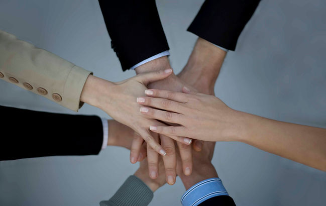 Our teams of senior consultants and experts work hand in hand with our clients