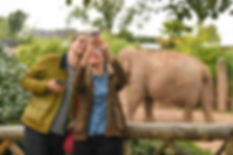 zoo visitors chester zoo.Jpeg