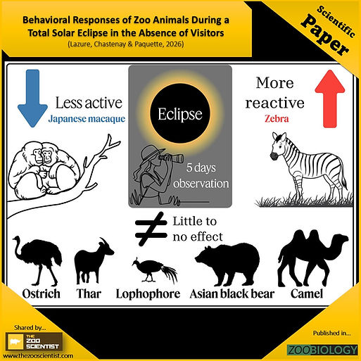 Behaviour during eclipse_Zoo Biology 2026.jpg