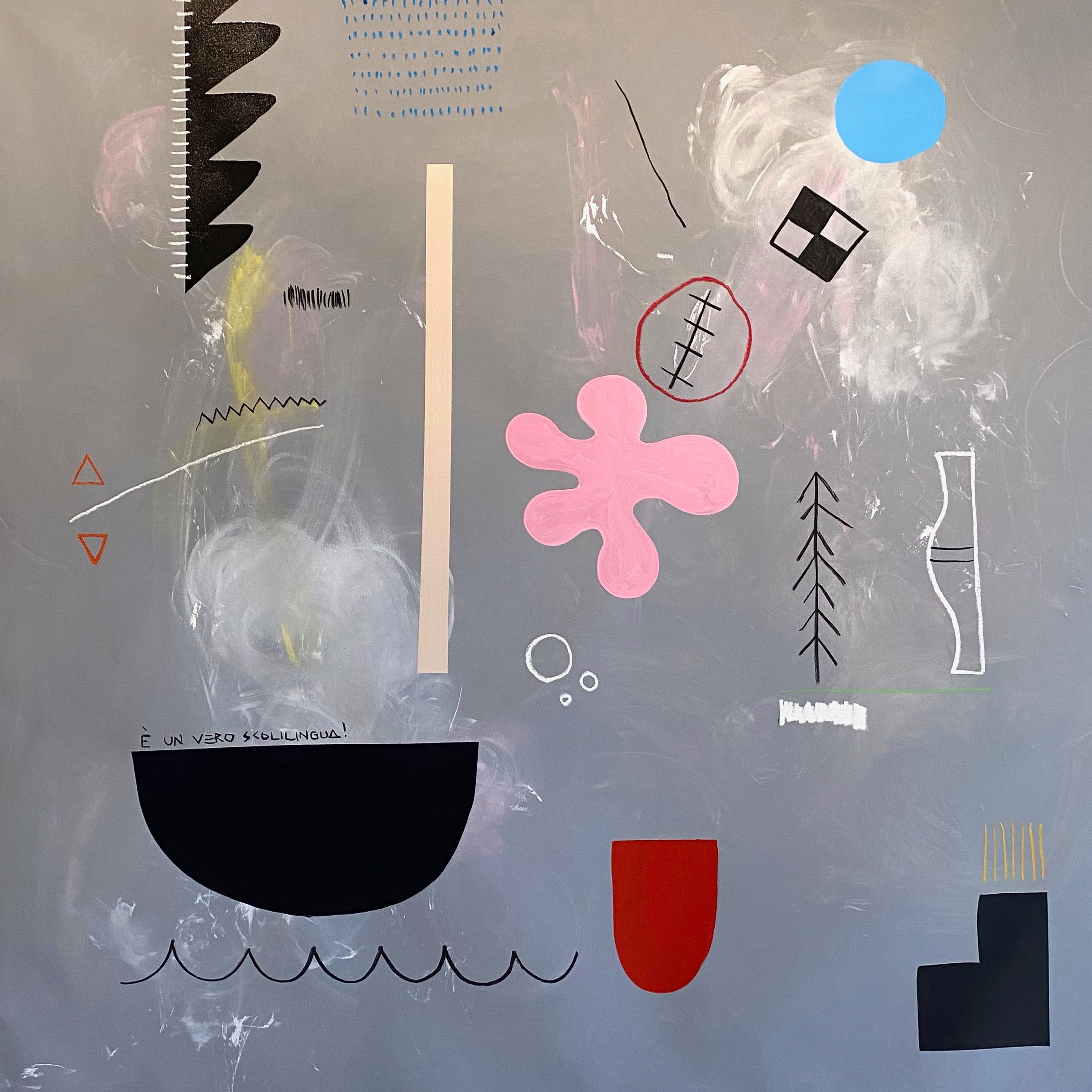 E Un Vero Scolilingua!