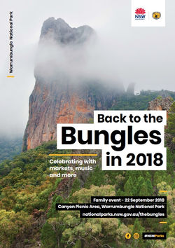 Back to the Bungles Poster.jpg