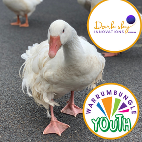 Warrumbungle Youth Goose Chase (1).png