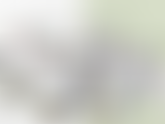 Calmy Horse & Calmy Dog - die Marke der evercann Animal Care