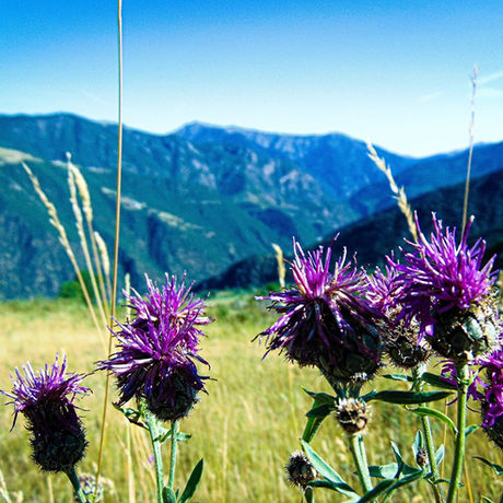 ACTIVE 4X4 ADVENTURES Fully Catered Pyrenees 4X4 Adventure Tours