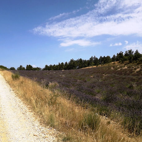 ACTIVE 4X4 ADVENTURES Fully Catered Provence 4X4 Holiday Tours