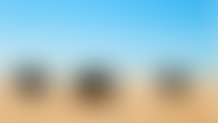 SAHARA fully catered 4X4 overland expeditions ACTIVE 4X4 ADVENTURES