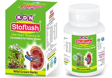 STOFLUSH CAPSULE SPL.jpg