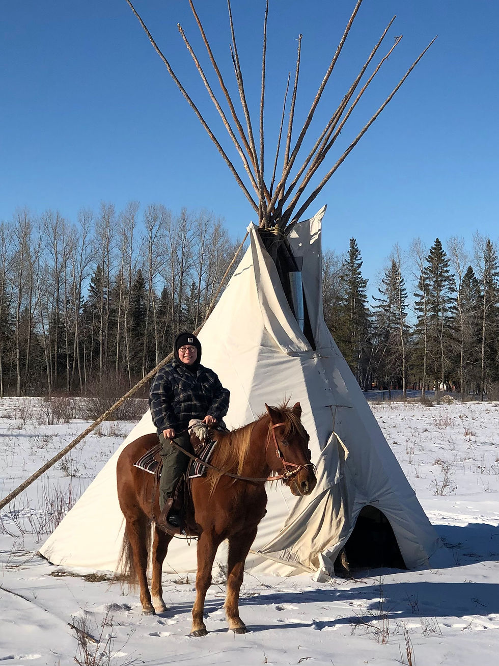 Equine Assisted Learning: Indigenous Perspectives