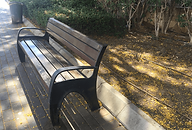 ספסל עץ בפארק, פרחים צהובים