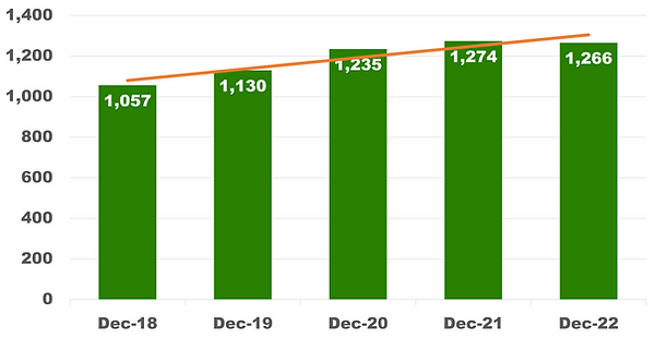 Shopify Inc. Fundamental Analysis | Shopify Inc. Shares Outstanding | Fundamental Analysis by The Globetrotting Investor
