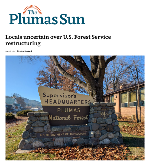 Christine Stoddard Plumas Sun.png