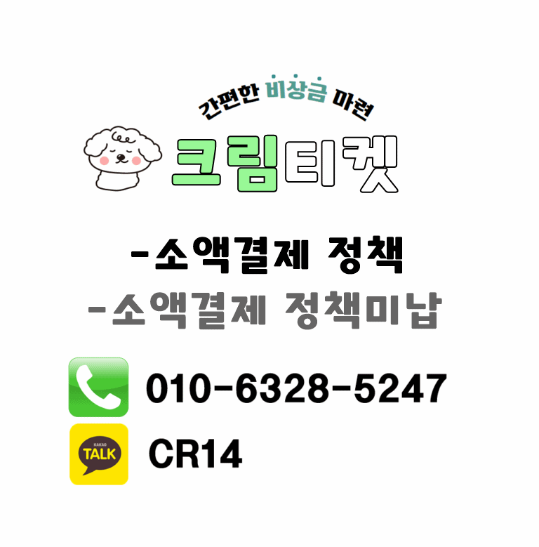 소액결제 정책 메인.gif