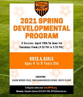 Spring Developmental Program (2).PNG