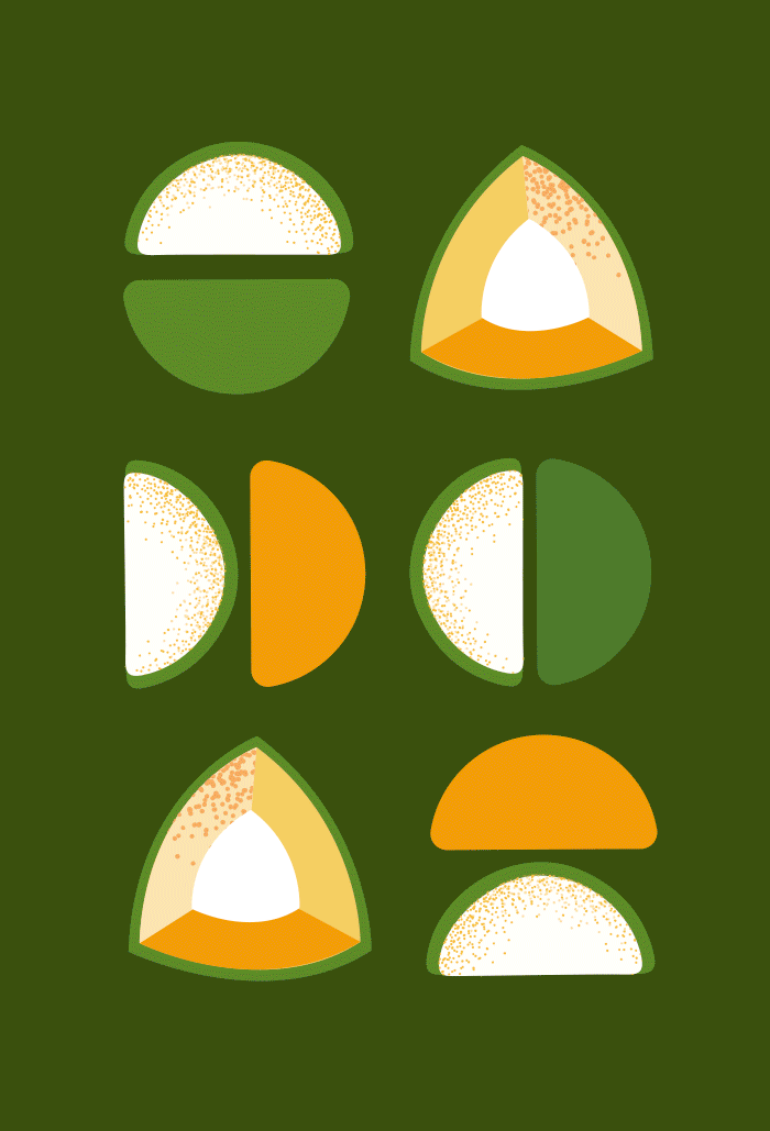 GIF_01-NR.gif