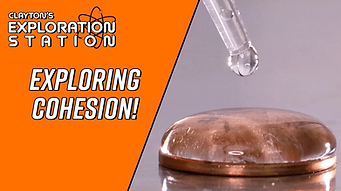 212-Cohesion-Thumbnail.png