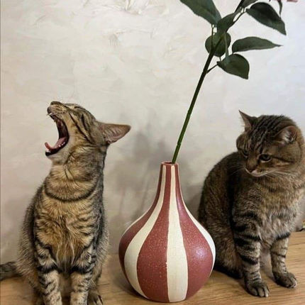 В семейных отношениях много "подводных камней"