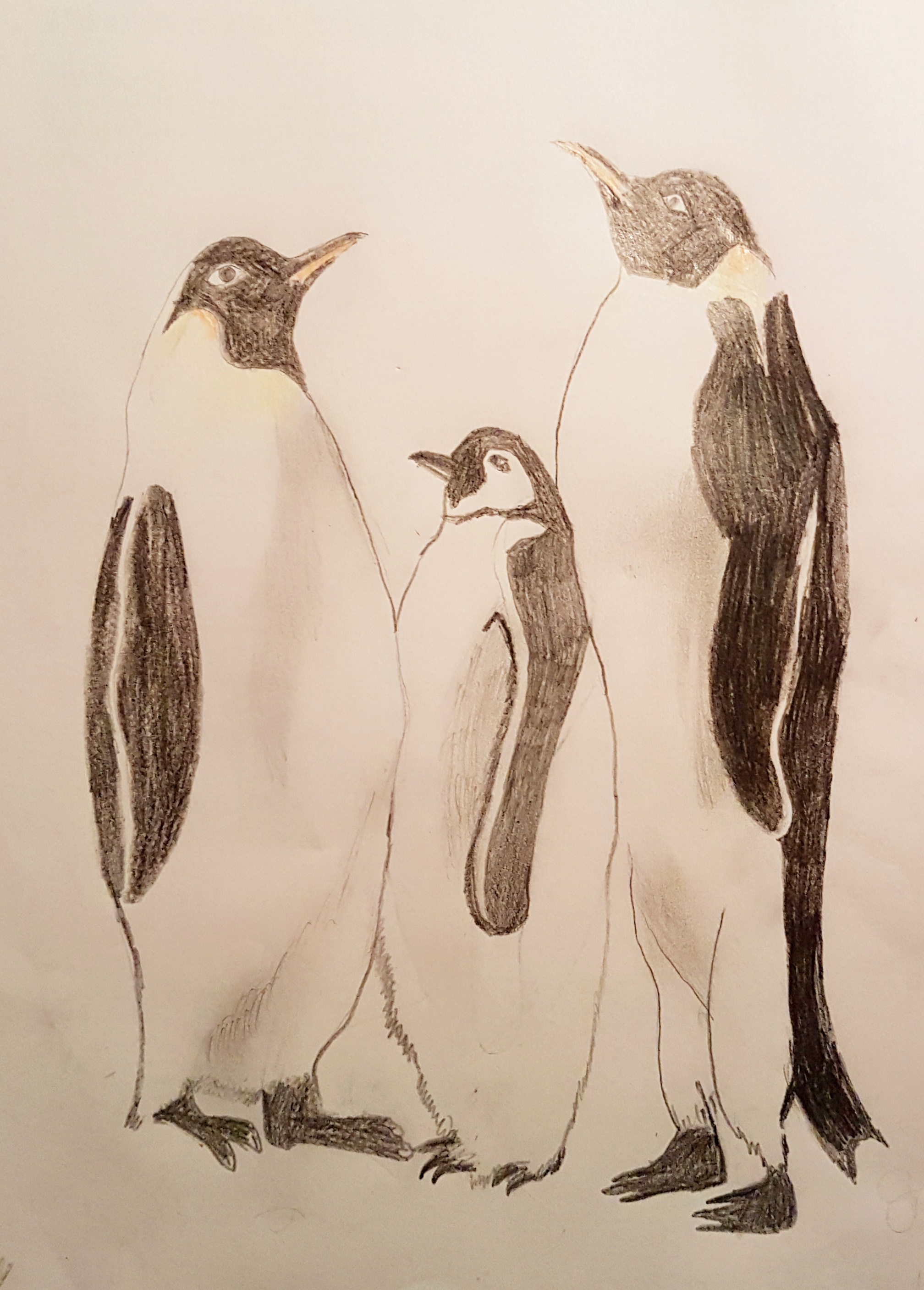 Pinguin Familie