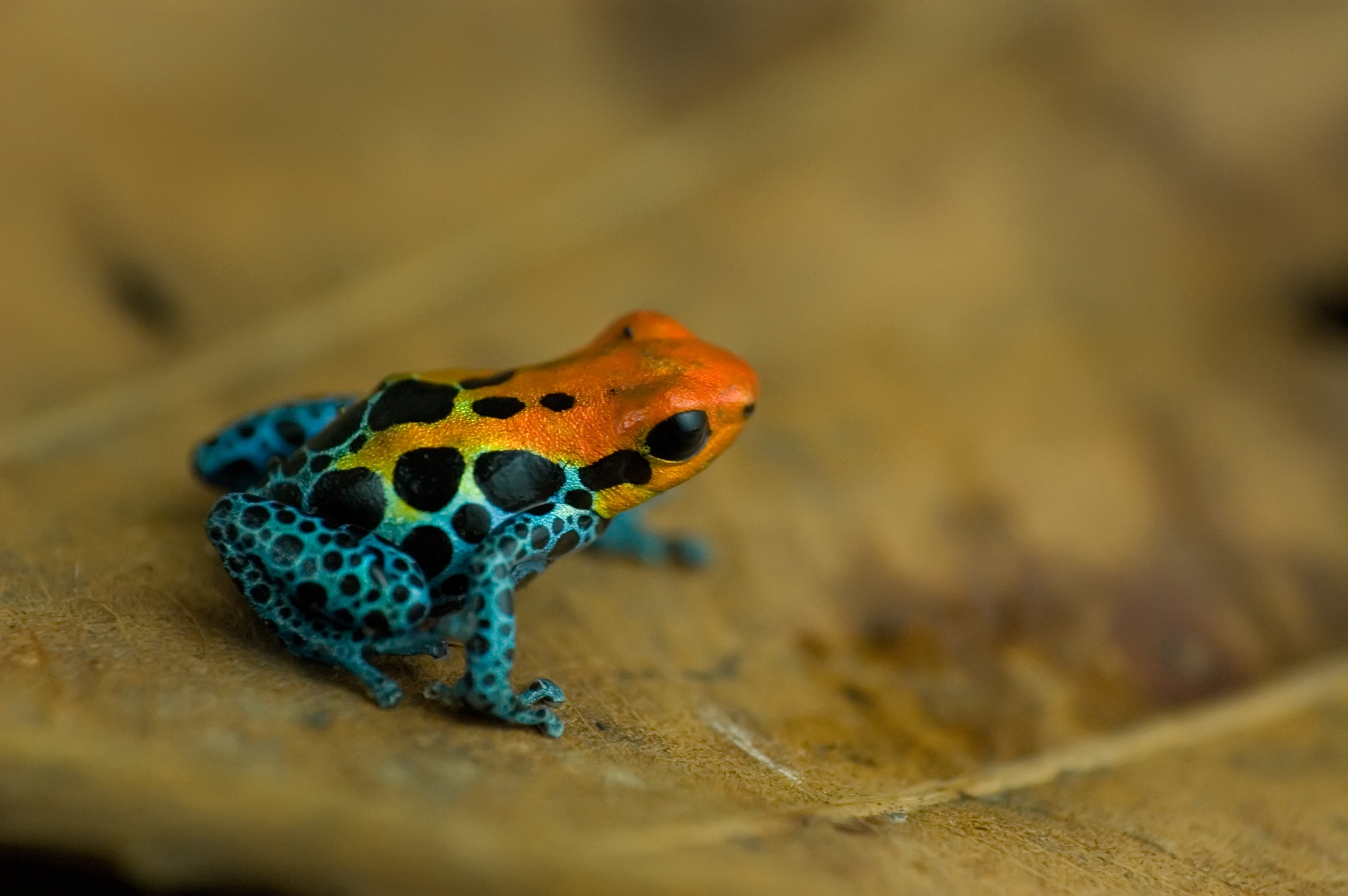 DSC_1100-2_E