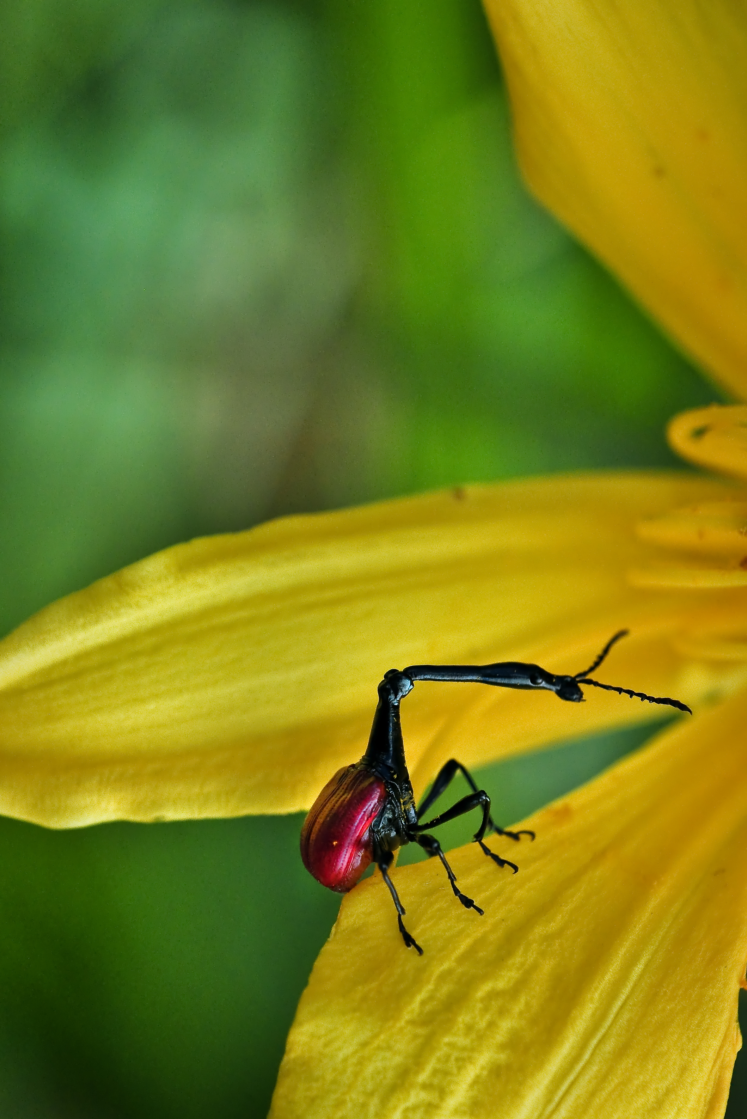 DSC_1051_E-1