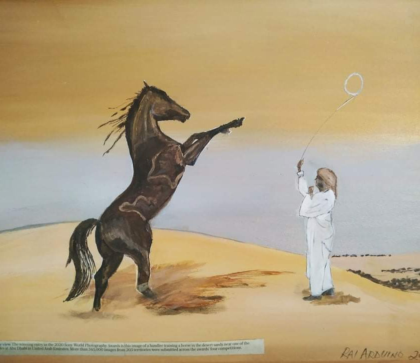 Horse Training in the Desert