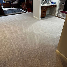Finish Carpet Cleaning