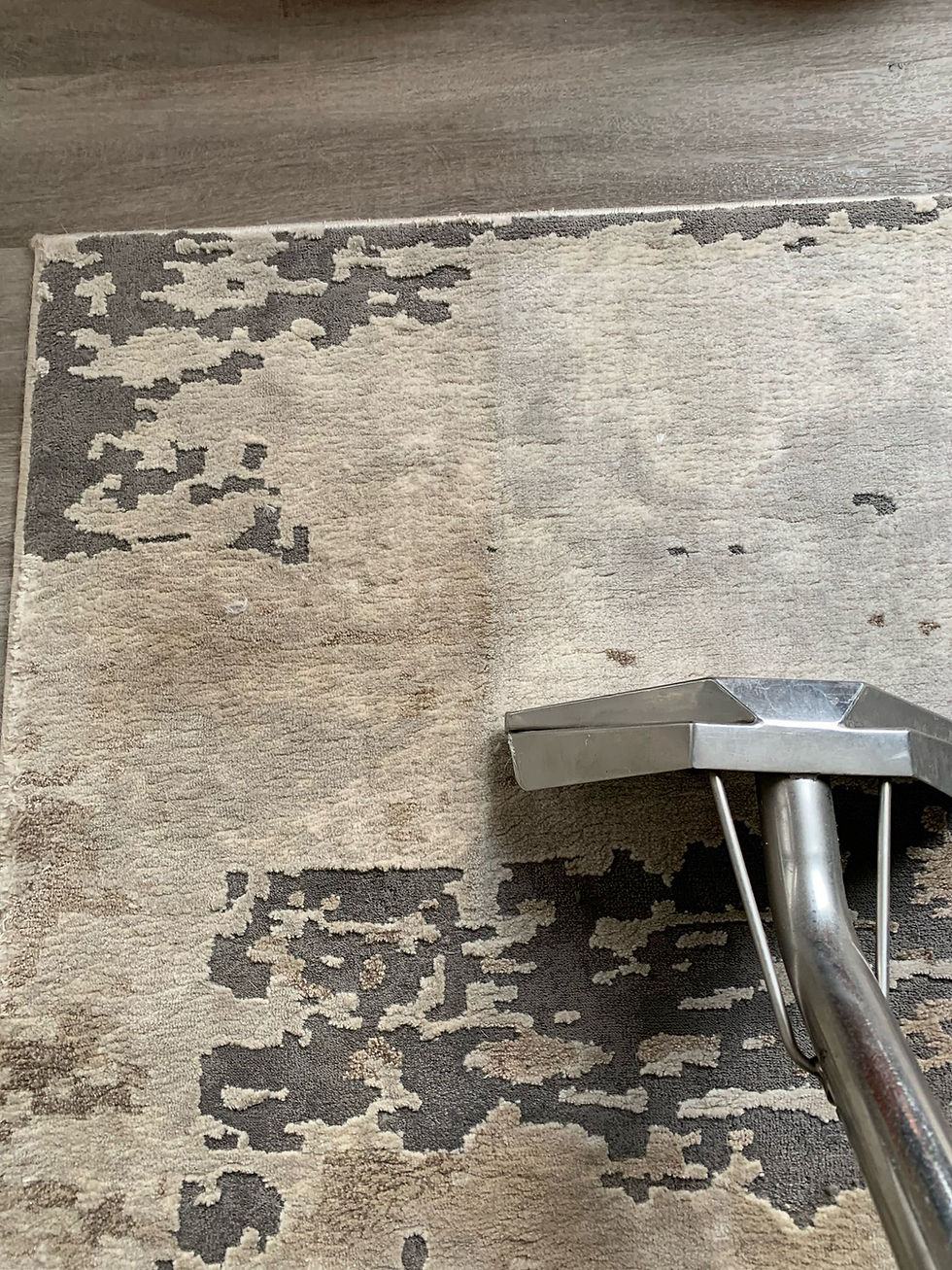 Area Rug Cleaning in Sherwood Park