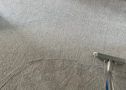Carpet Cleaning in Edmonton